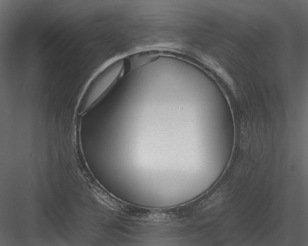 X0000082941316200702222236