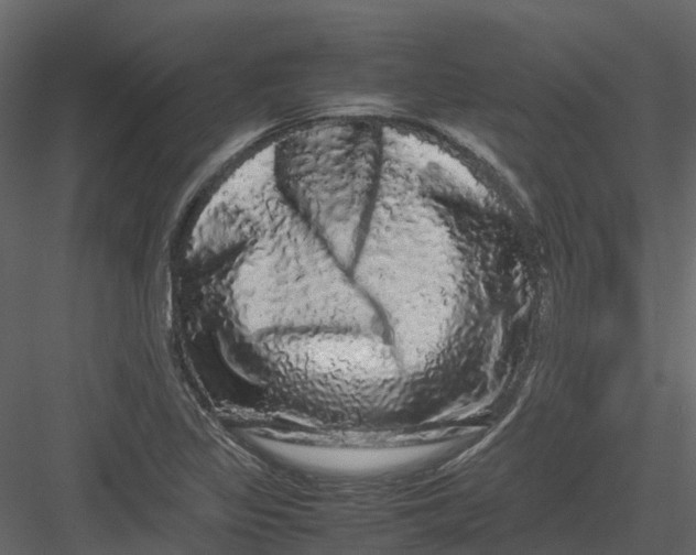 X0000082941317200702222236