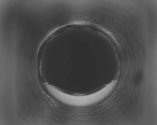 X0000082941319200702222236