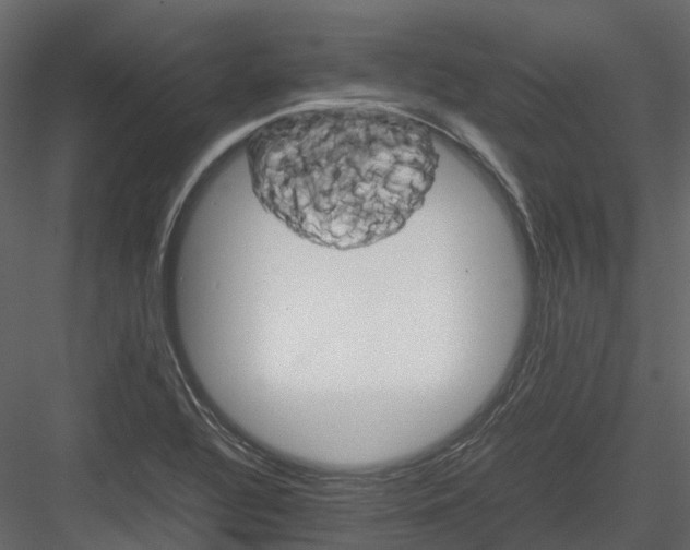 X0000082941320200702222236