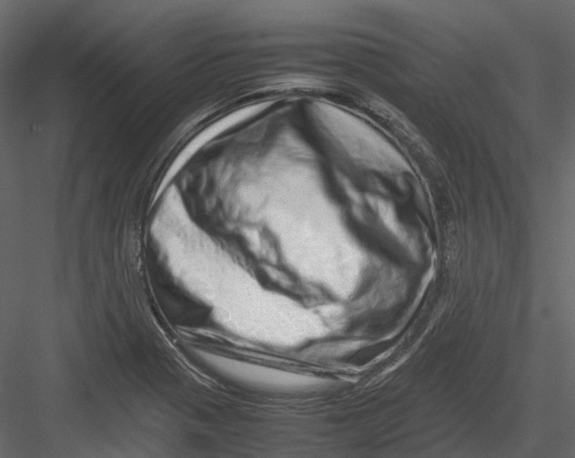 X0000082941321200702222236