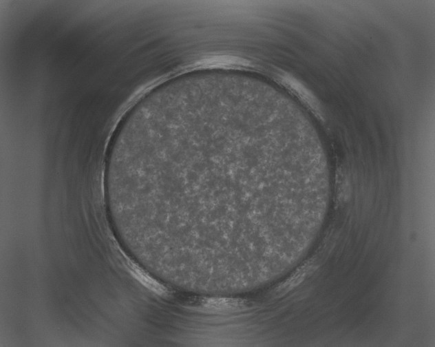 X0000082941322200702222236