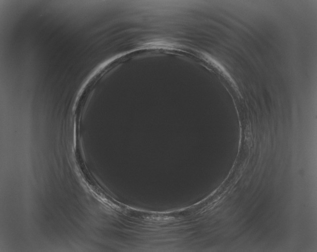 X0000082941323200702222236