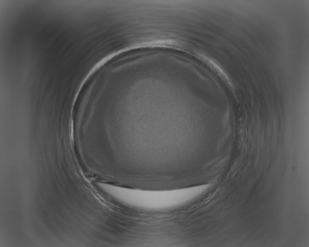 X0000082941324200702222236