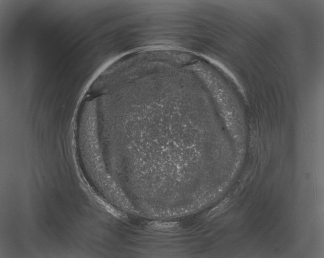 X0000082941325200702222236