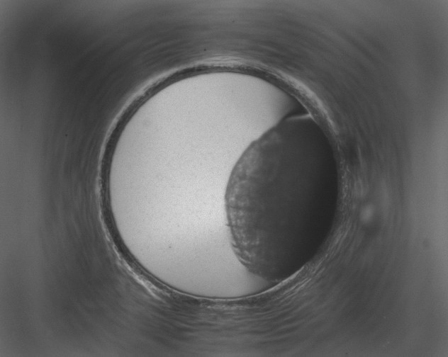 X0000082941327200702222236