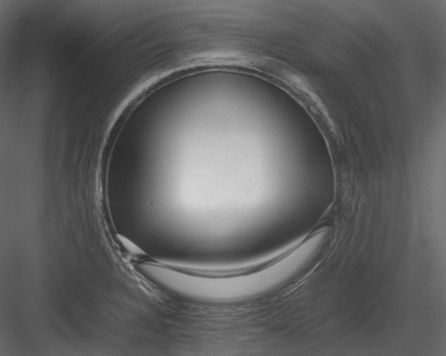 X0000082941328200702222236