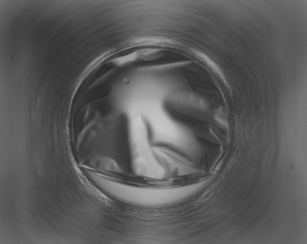 X0000082941330200702222236