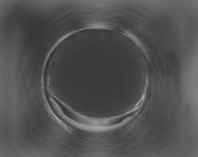 X0000082941331200702222236