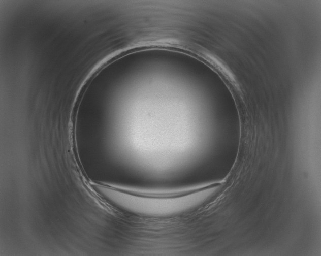 X0000082941332200702222236