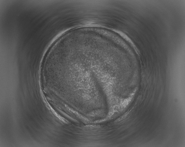 X0000082941333200702222236