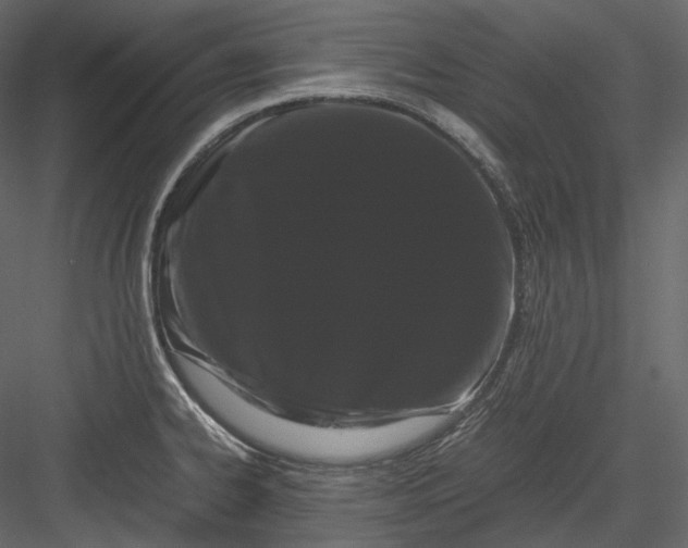 X0000082941334200702222236