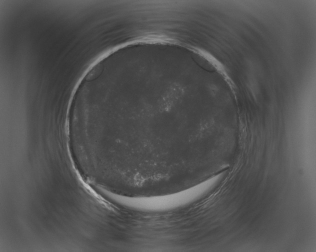 X0000082941335200702222236