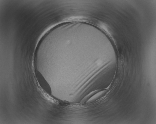 X0000082941336200702222236