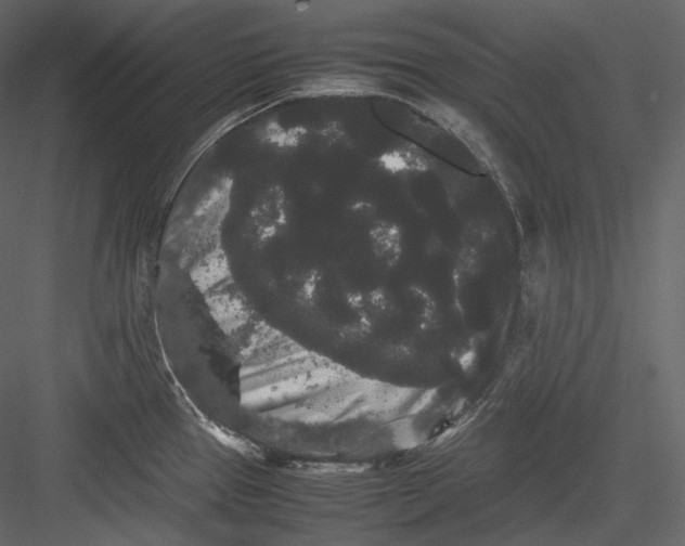 X0000082941337200702222236