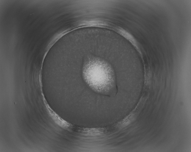 X0000082941338200702222237