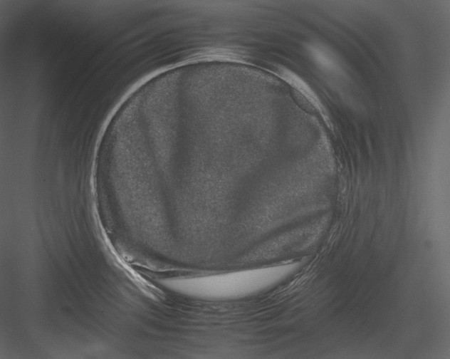 X0000082941339200702222237