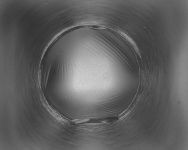 X0000082941340200702222237