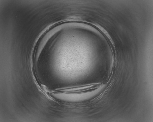 X0000082941341200702222237