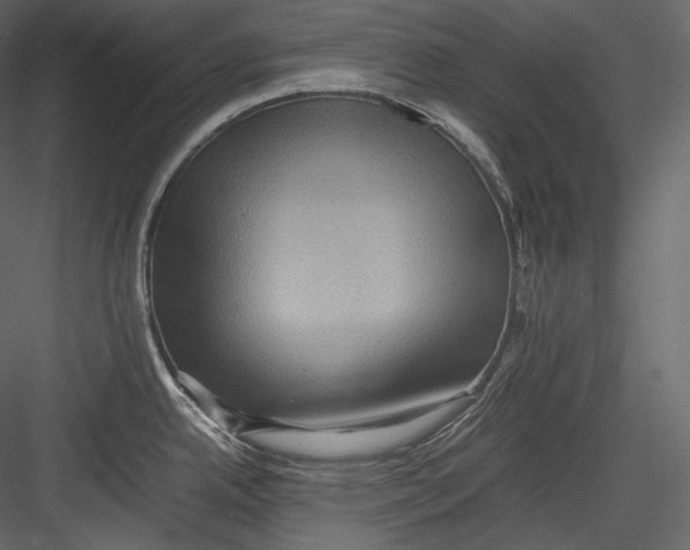 X0000082941342200702222237