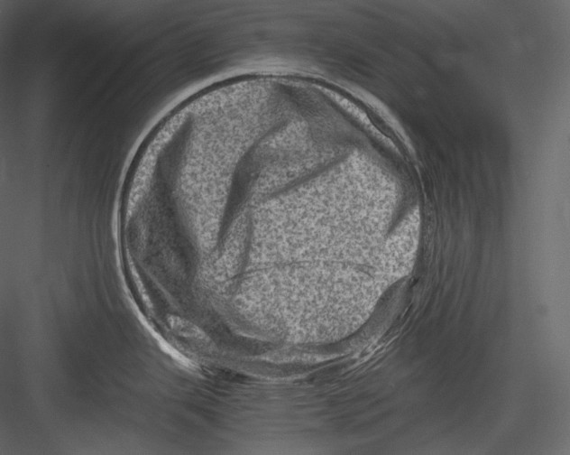 X0000082941343200702222237