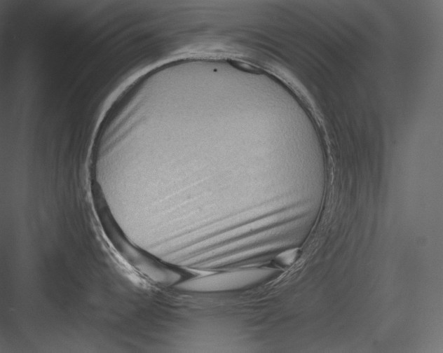 X0000082941344200702222237