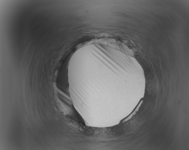 X0000082941345200702222236