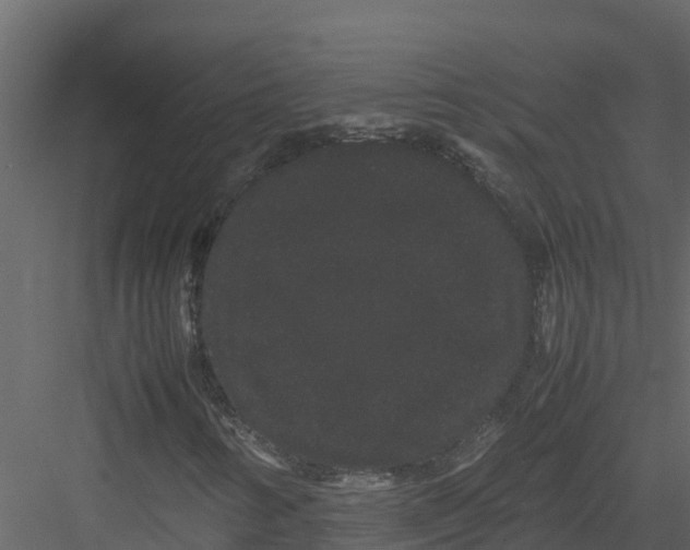 X0000082941346200702222236