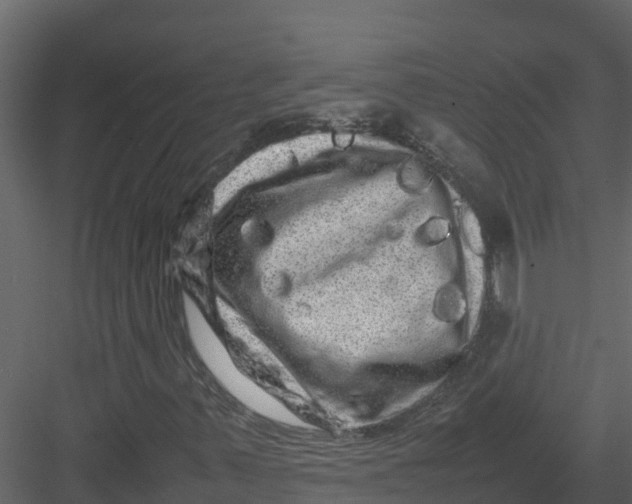 X0000082941347200702222236