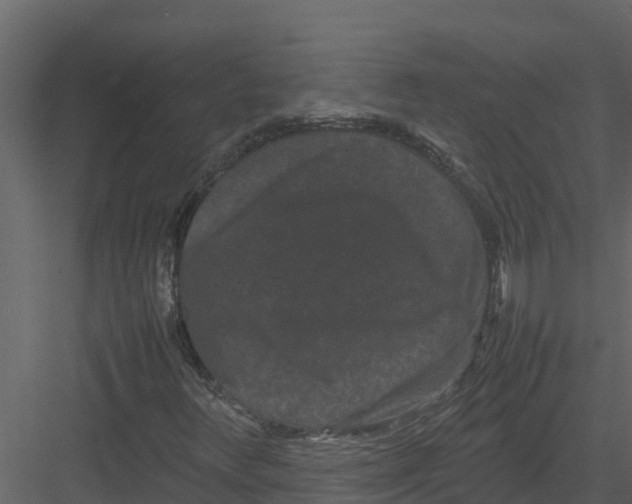 X0000082941348200702222236