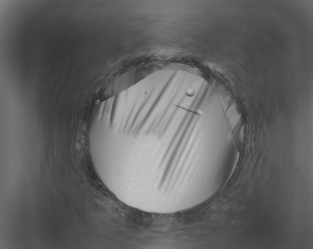 X0000082941349200702222236