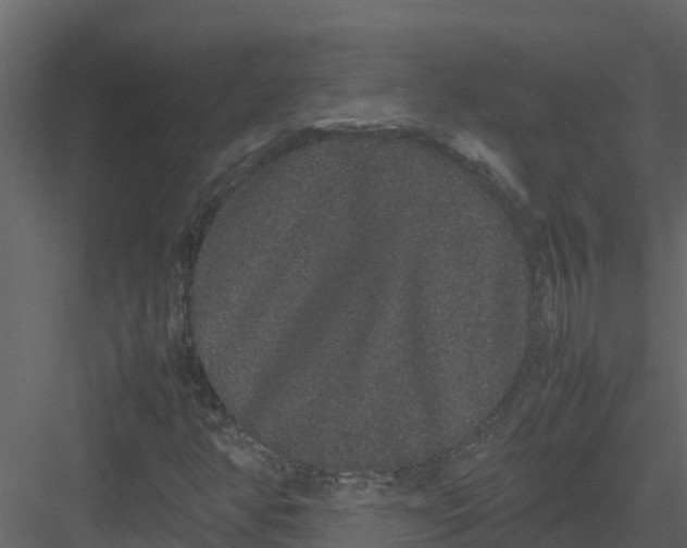 X0000082941350200702222236