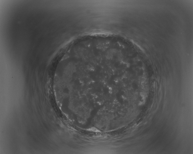 X0000082941351200702222236