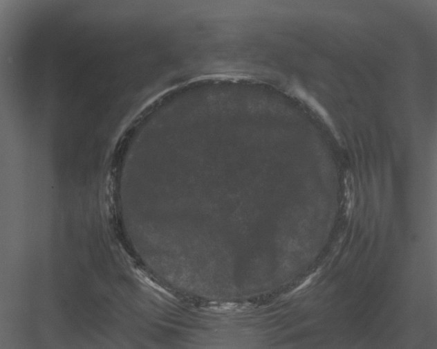 X0000082941352200702222236