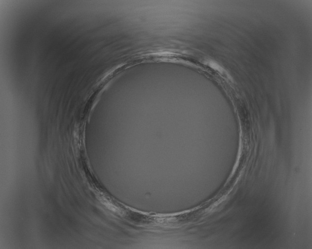 X0000082941353200702222236