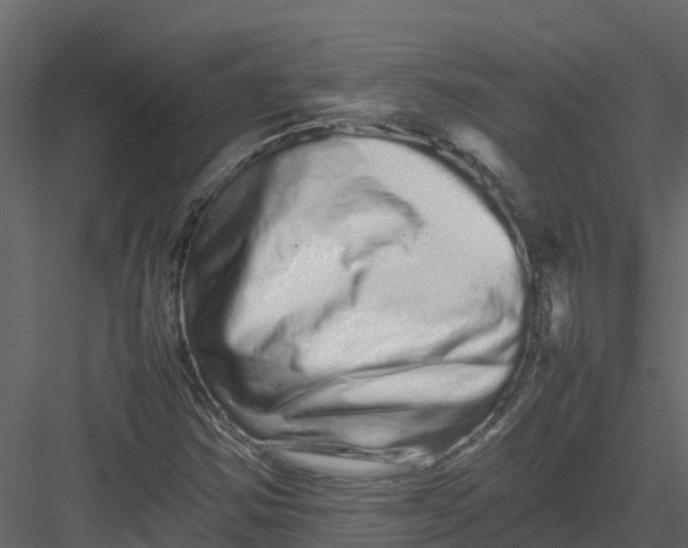 X0000082941354200702222236