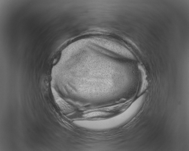 X0000082941355200702222236