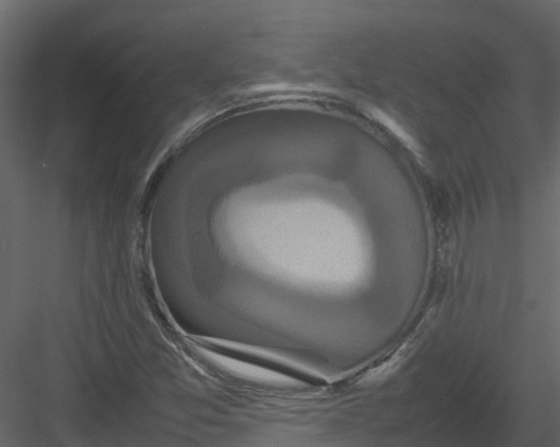 X0000082941357200702222236