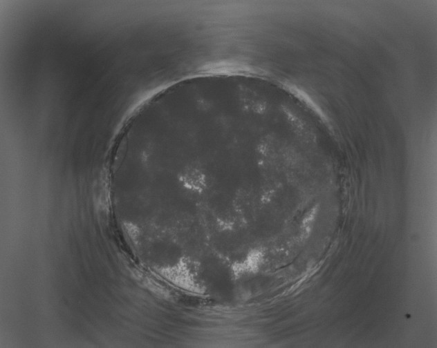 X0000082941358200702222236