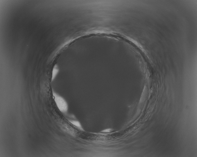 X0000082941359200702222236