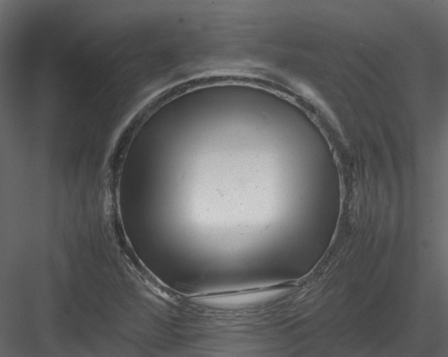 X0000082941360200702222236