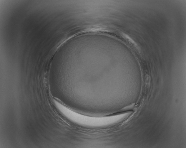 X0000082941361200702222236