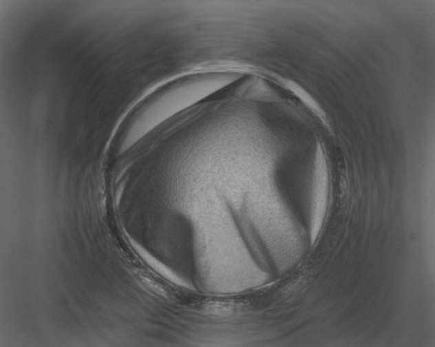 X0000082941364200702222235