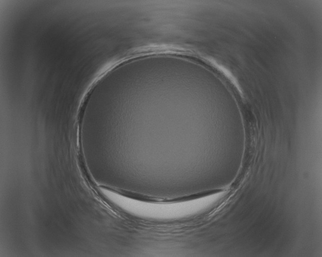 X0000082941365200702222235