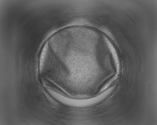 X0000082941366200702222235