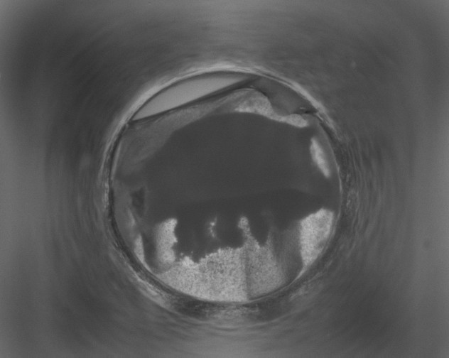 X0000082941367200702222235