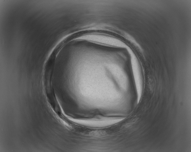 X0000082941368200702222235