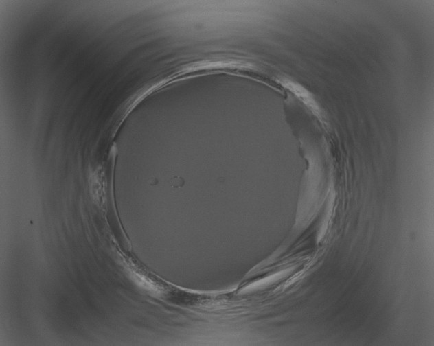 X0000082941369200702222235