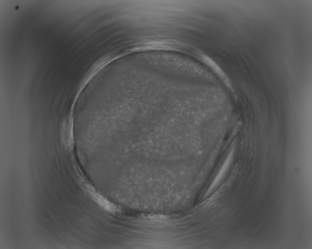 X0000082941370200702222235