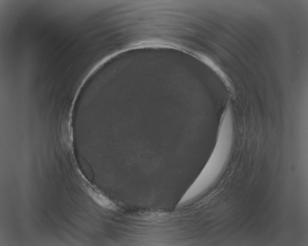 X0000082941372200702222235